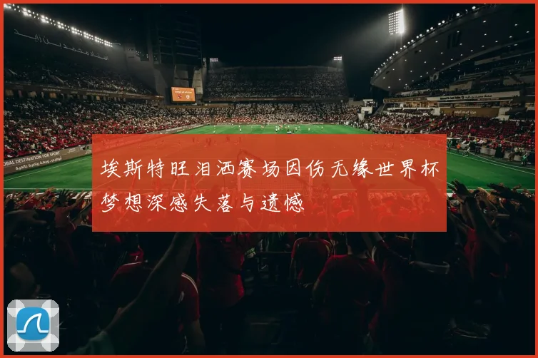 埃斯特旺泪洒赛场因伤无缘世界杯梦想深感失落与遗憾